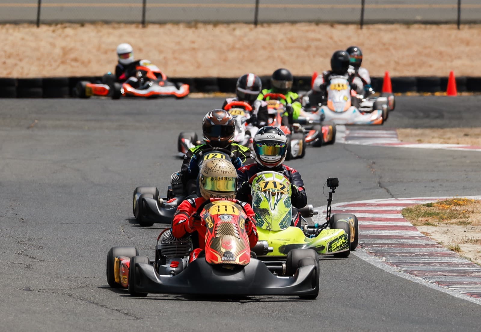 Into the pack